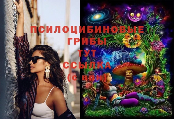 бошки Богородицк