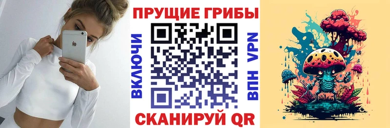 Купить  Навашино  Галлюциногенные грибы MAGIC MUSHROOMS 